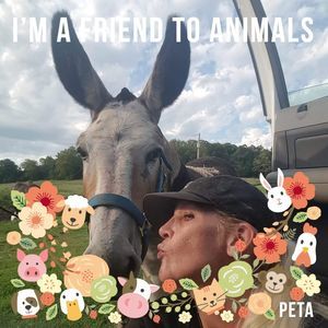 Meet your Posher, Paula